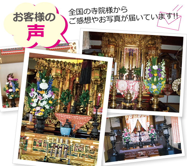 はな,てら,お客様の声